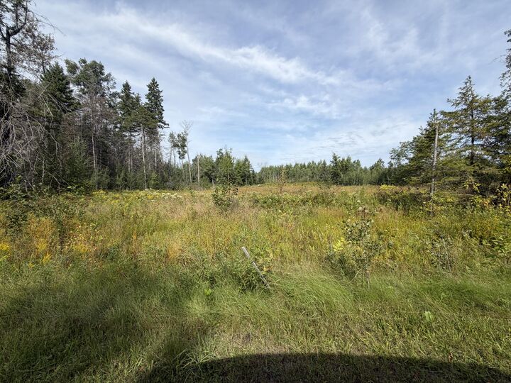 Property Photo: 370 Beaver Shores Drive MI 49753