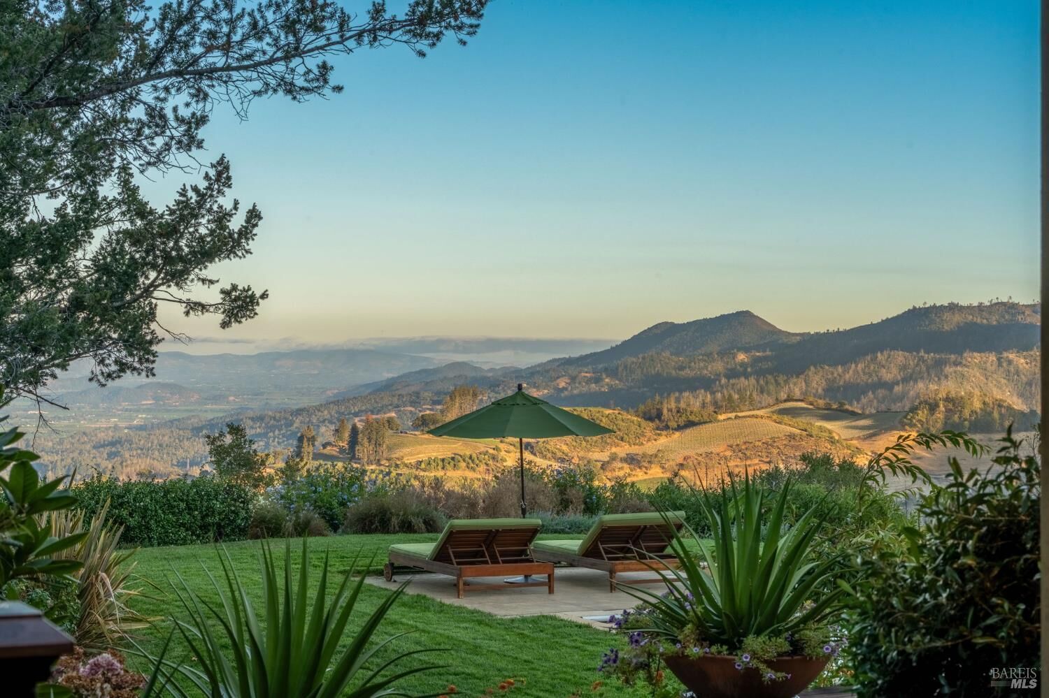 Property Photo:  3620 Spring Mountain Road  CA 94574 