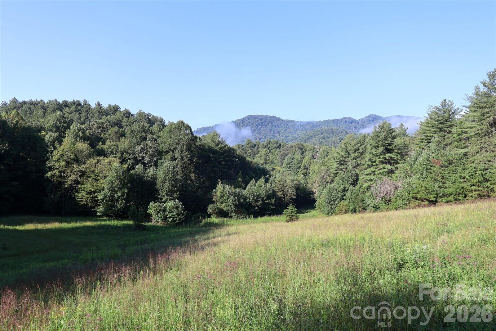 Property Photo:  99999 Dream Valley Drive  NC 28721 