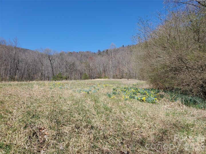 Property Photo:  8057 Highway 16 Highway  NC 28654 