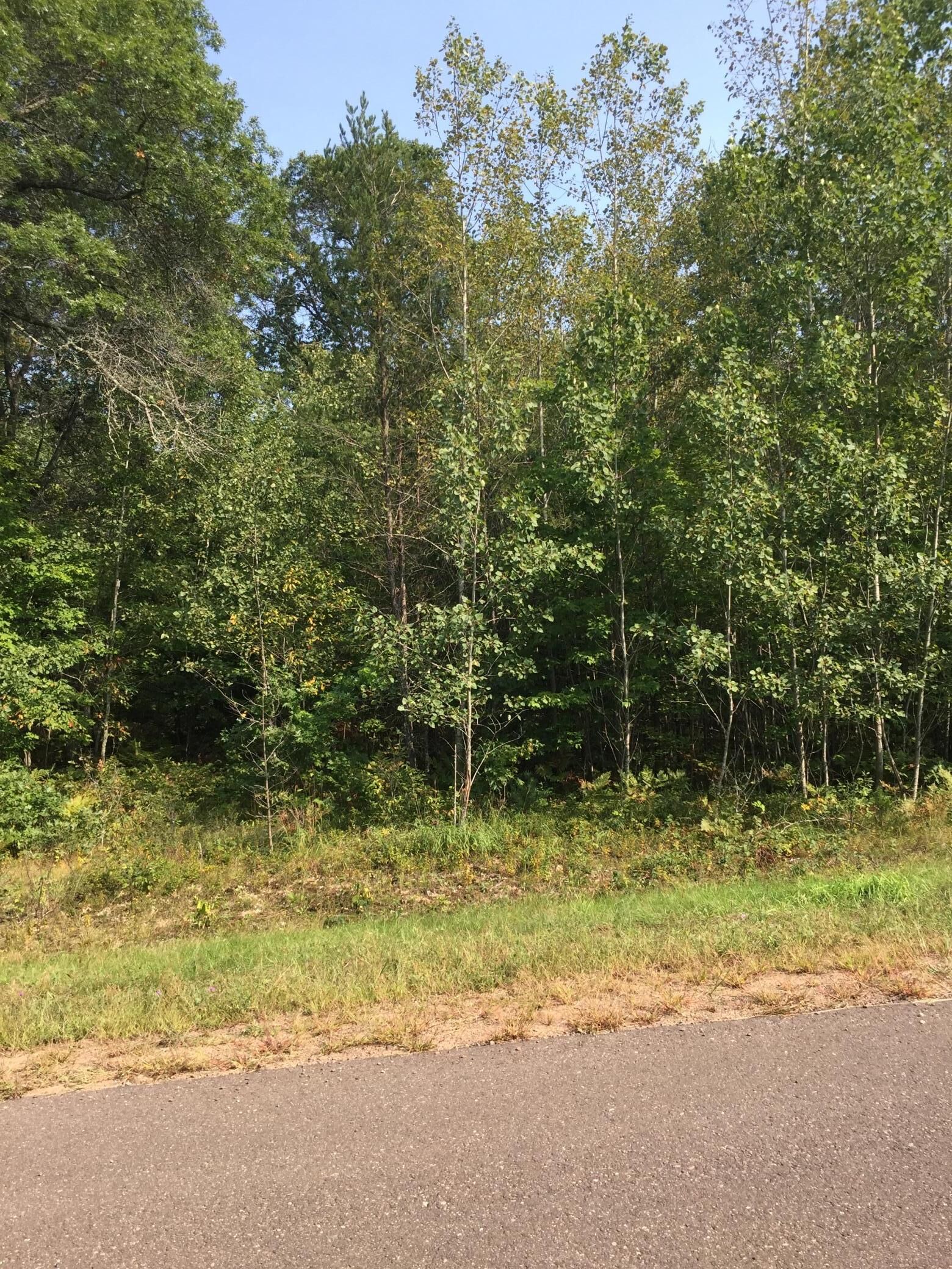 Property Photo:  Lot 31 Shady Lane  WI 54872 