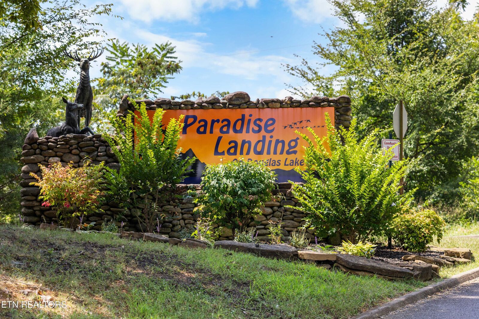 Property Photo:  00 Last Chance Rd  TN 37725 