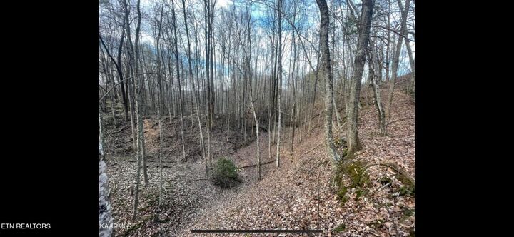 Property Photo:  150 Timber Oaks Lane  TN 37847 