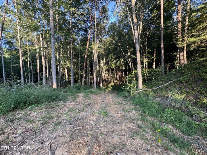 Property Photo:  150 Timber Oaks Lane  TN 37847 
