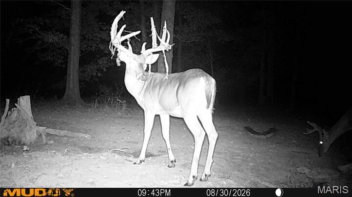 Property Photo:  1476 &Amp 1474 Ripley C-7aa  MO 63935 