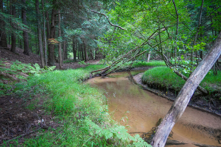 Property Photo: V/L S 142nd Avenue MI 49452