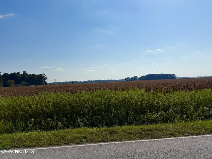 Property Photo:  0 Davis Road  NC 28365 