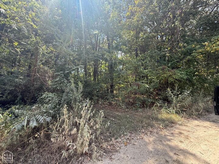Property Photo: 1 Acre County Road 320 AR 72416