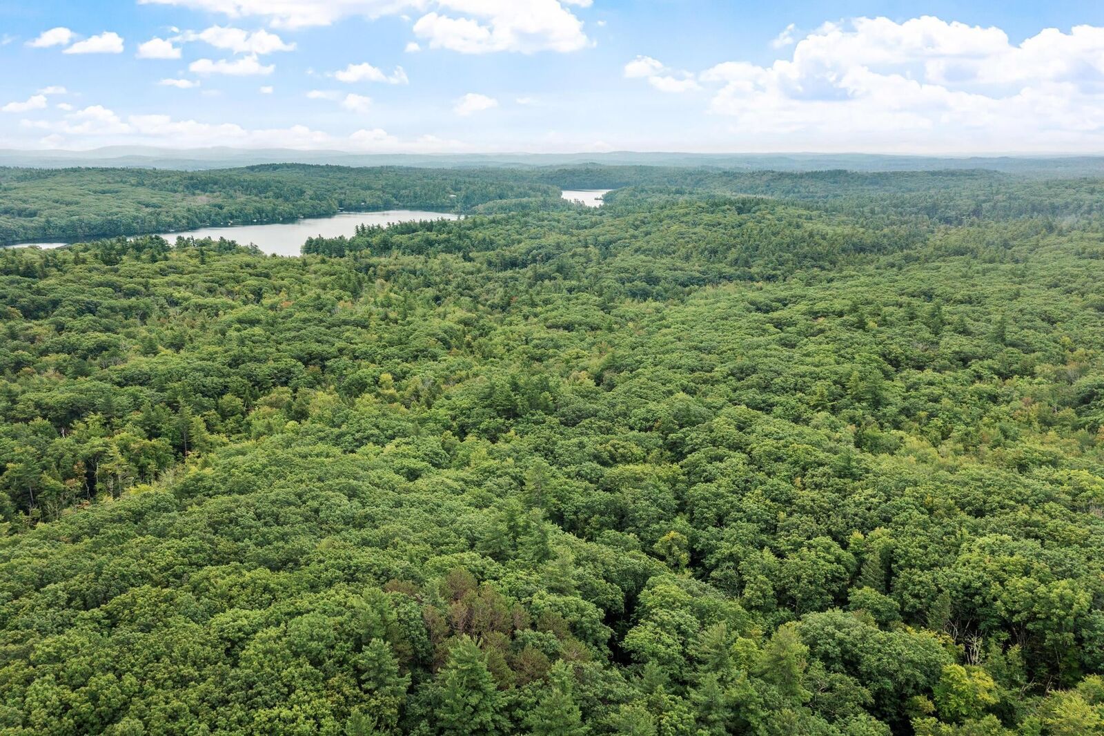 Property Photo:  121 Burpee Road  NH 03444 