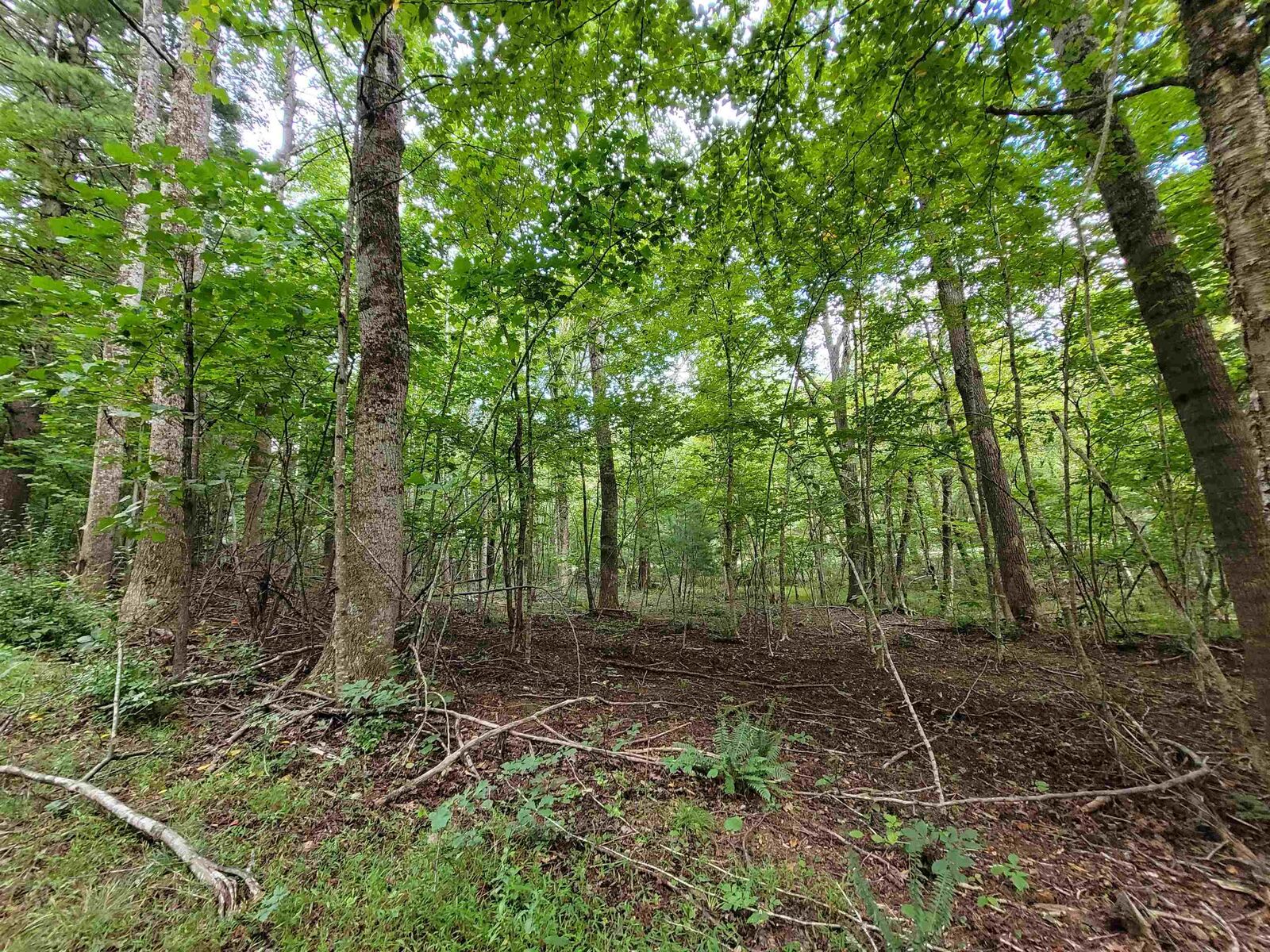 Property Photo:  Tbd Pin Oak Lane  VA 24079 