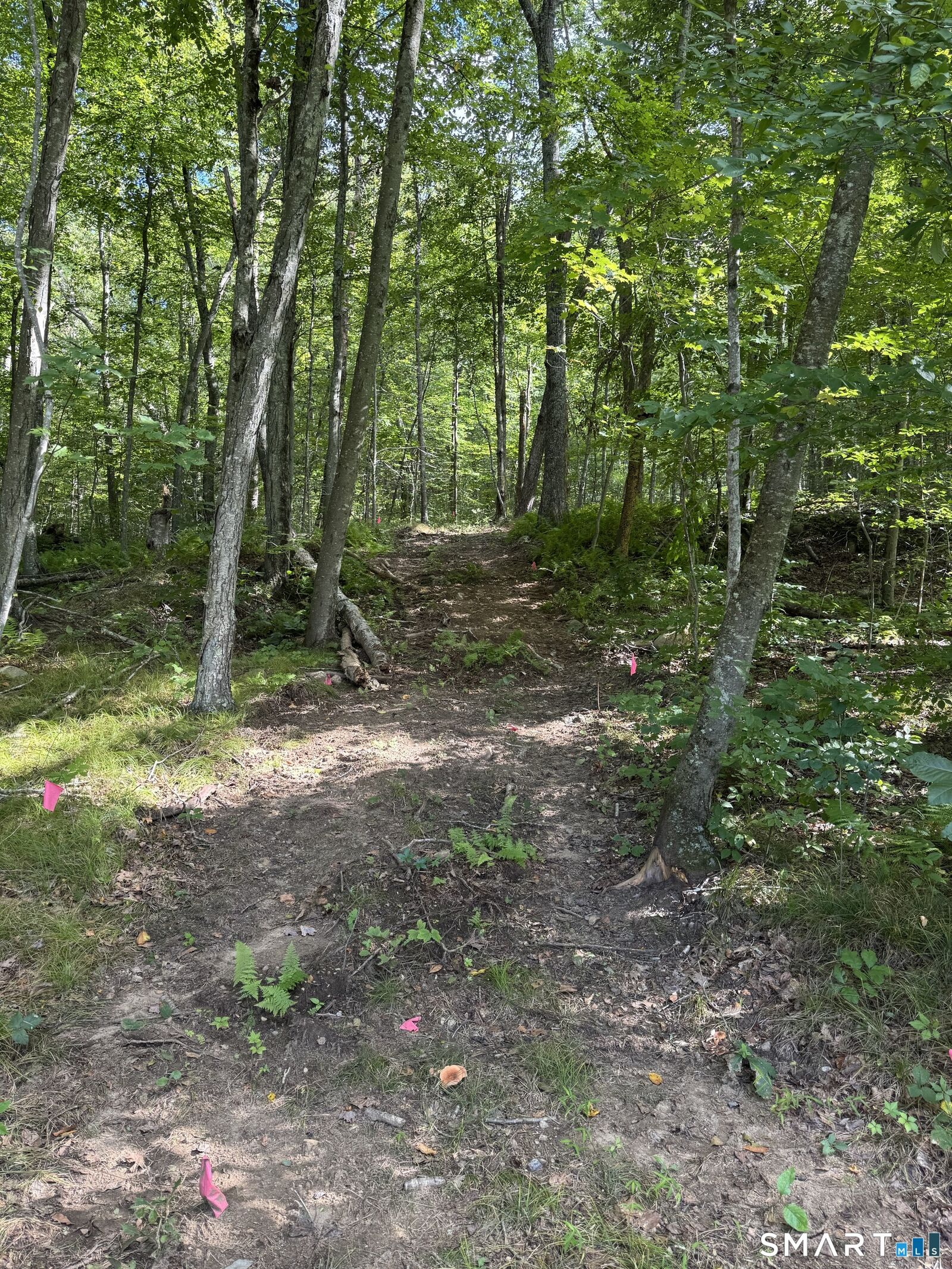 Property Photo:  Tater Hill Road  CT 06423 