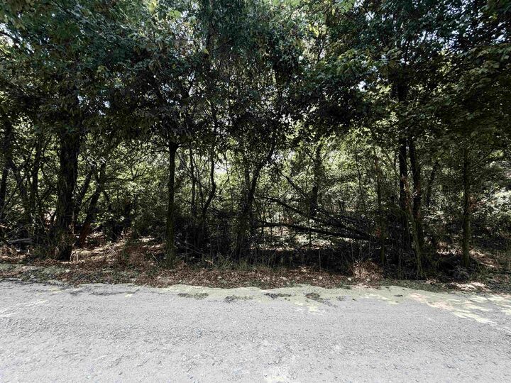 Property Photo: Xxx River Road AR 72542