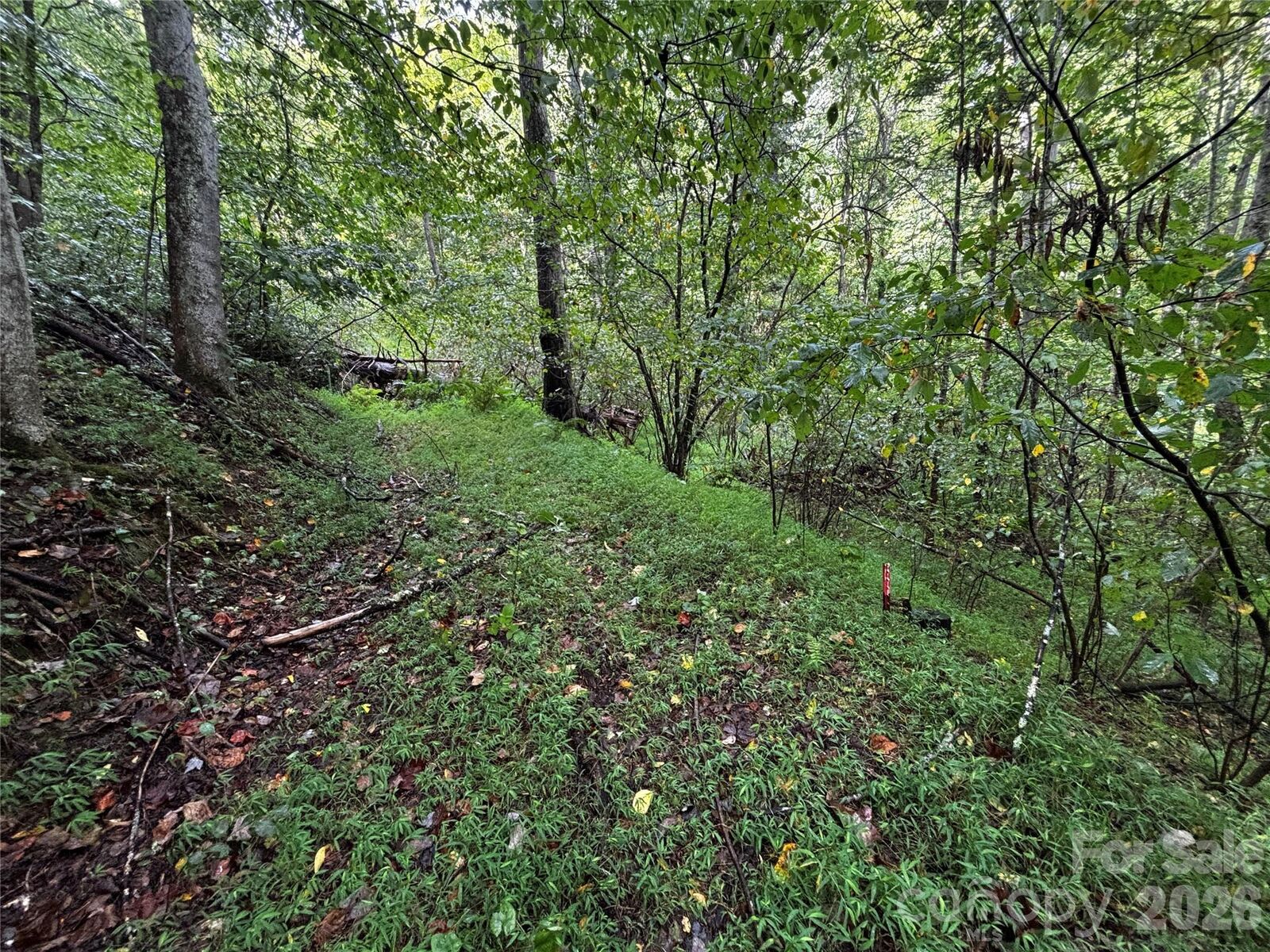 Property Photo:  Tbd Big Pine Road  NC 28753 