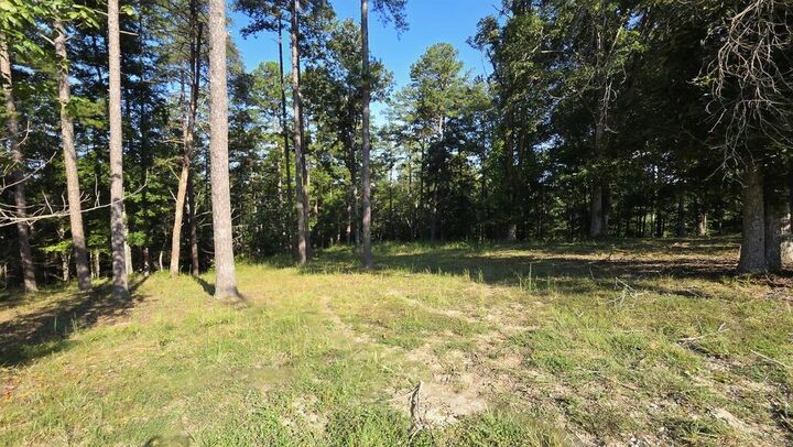 Property Photo:  0 Lake Ridge Road  KY 41230 