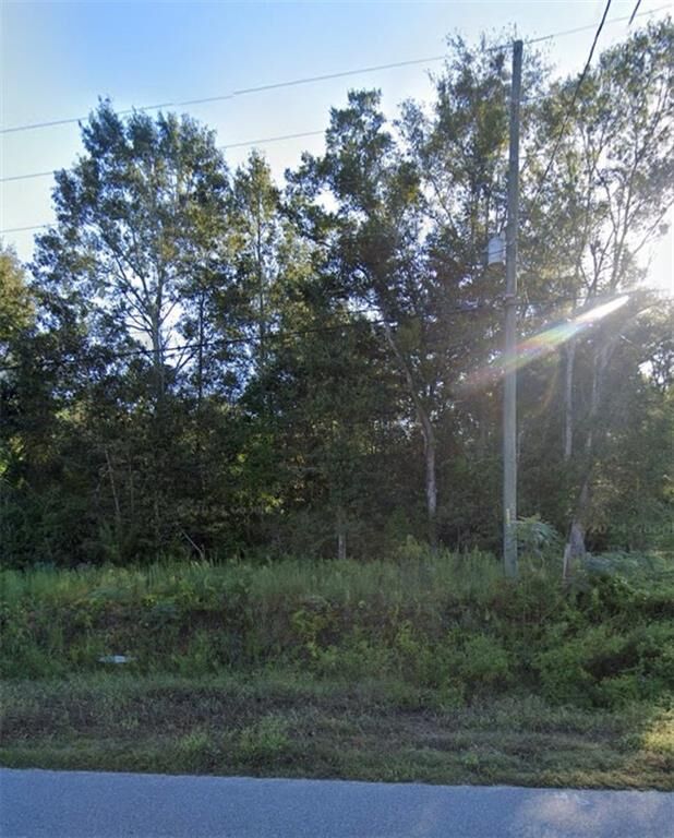 Property Photo:  000 Willie Varnum Road  AL 36301 