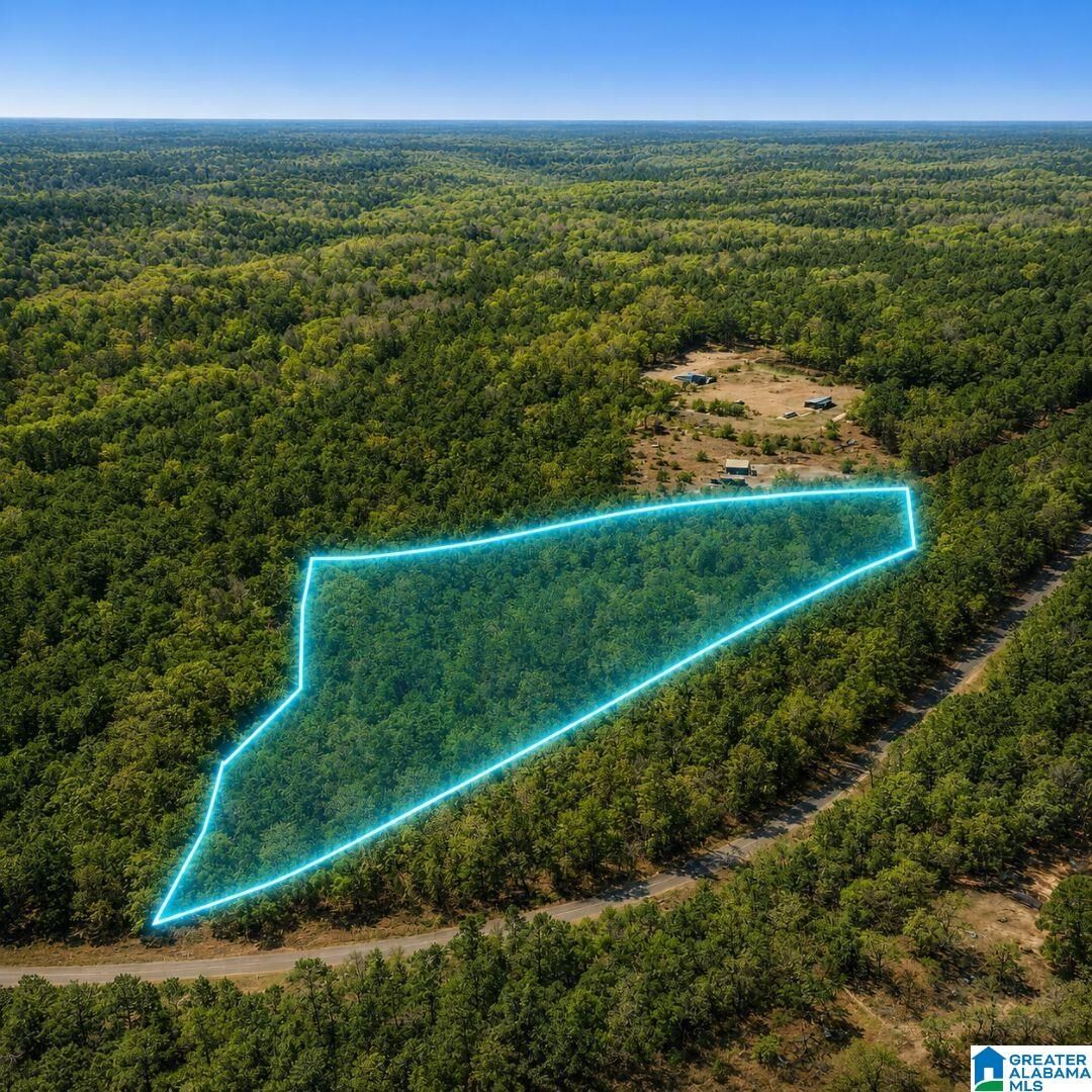Property Photo:  0 County Road 138 0  AL 36507 
