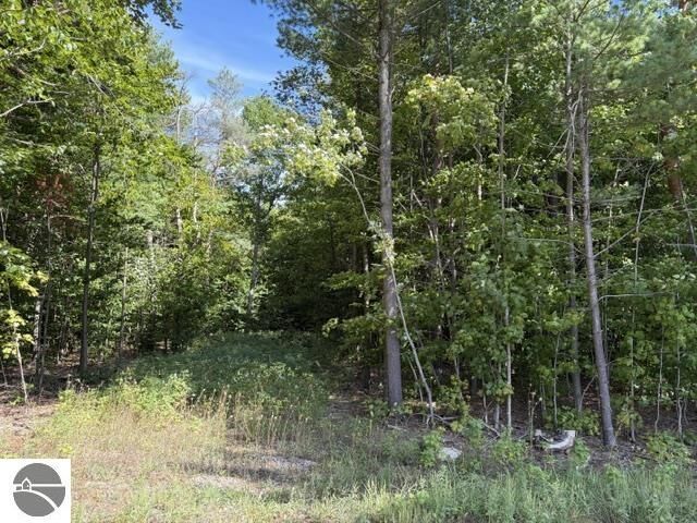Property Photo: 000 Paradise Ridge Trail MI 49684