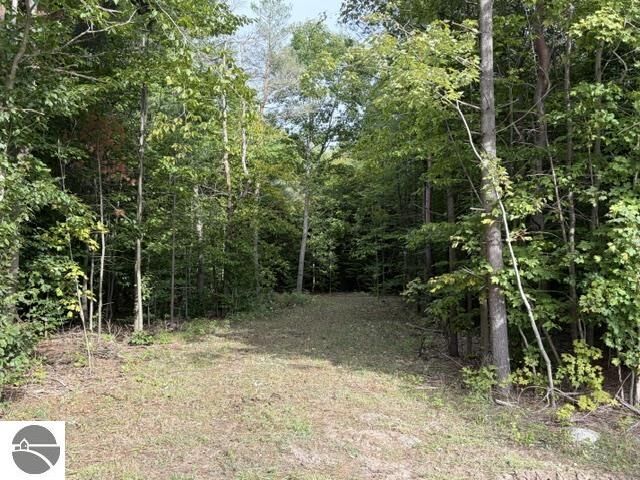Property Photo: 000 Paradise Ridge Trail MI 49684