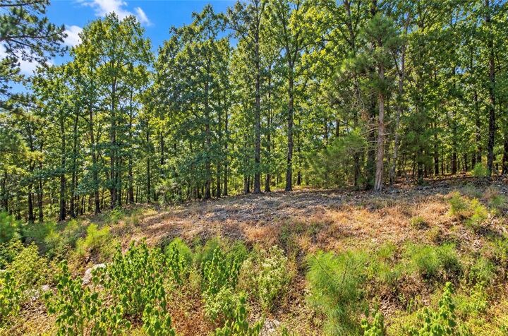 Property Photo:  Kelaen Circle  AR 72715 