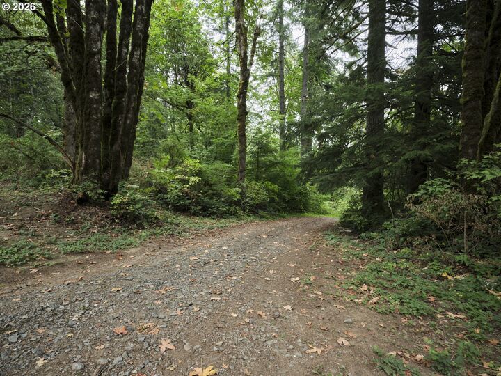 Property Photo:  38610 NE Rotschy Rd  WA 98675 
