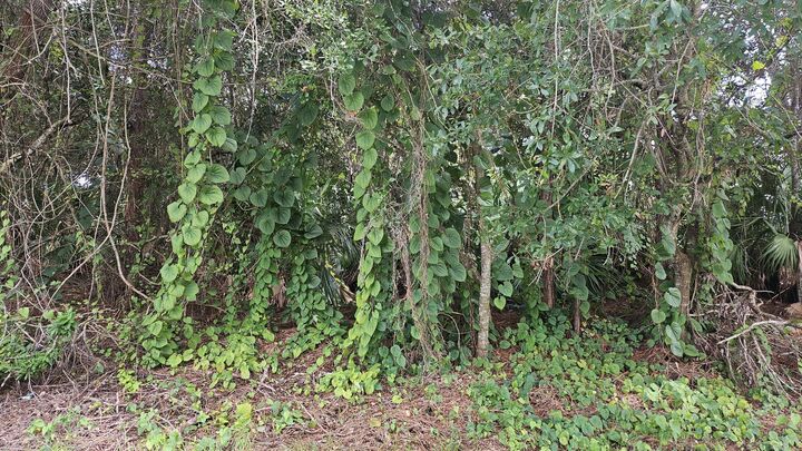 Property Photo:  1757 SW Day Street  FL 34953 