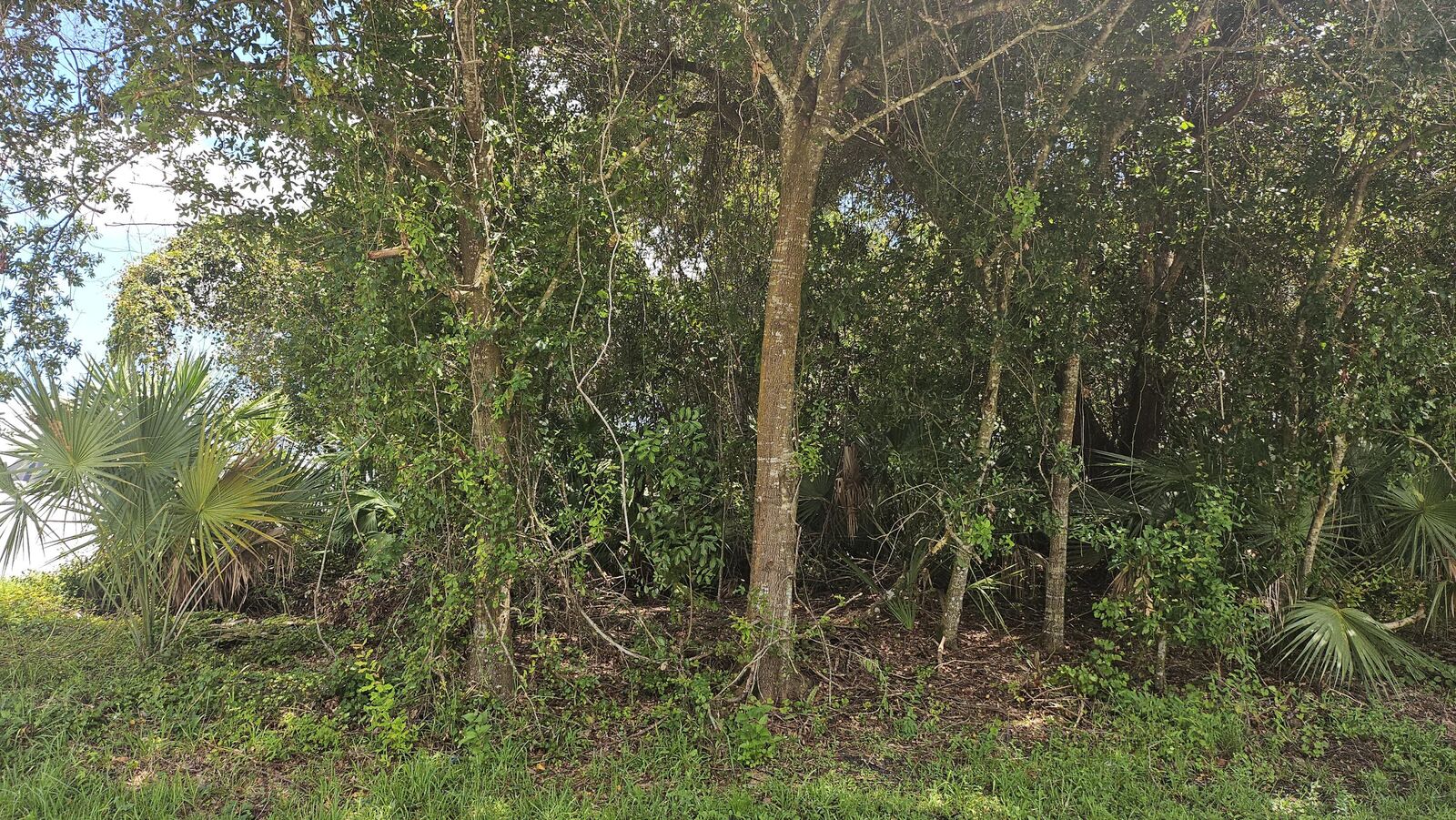 Property Photo:  1743 SW Day Street  FL 34953 