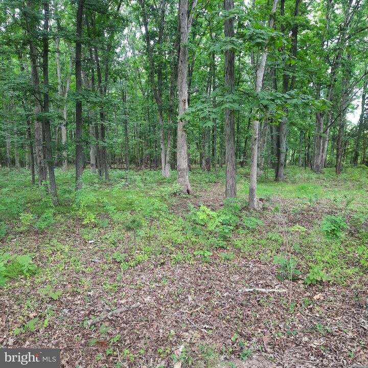 Property Photo:  20 Iron Bridge Road  PA 18947 
