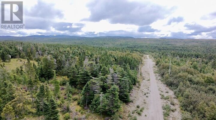 Property Photo:  17 Main Street  NL A0N 0B9 