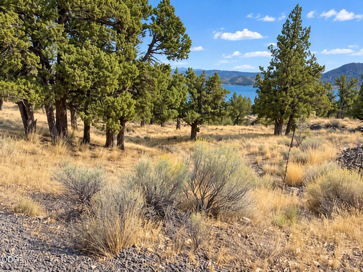 Property Photo:  SE Davis Way Tl3900  OR 97754 