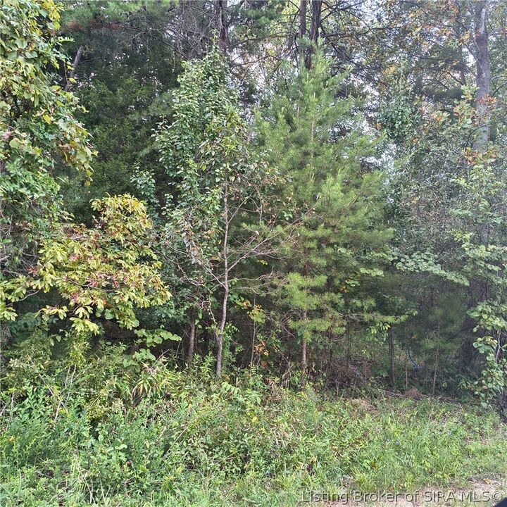Property Photo: Tract 1 Crooked Lane IN 47112