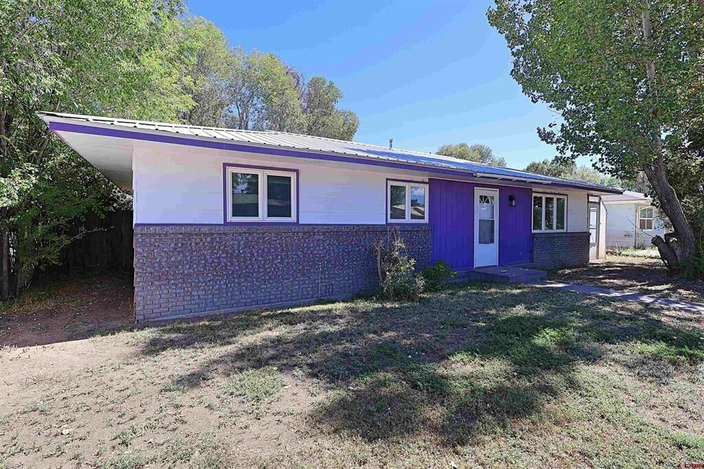 Property Photo: 207 Bonney Drive CO 81101