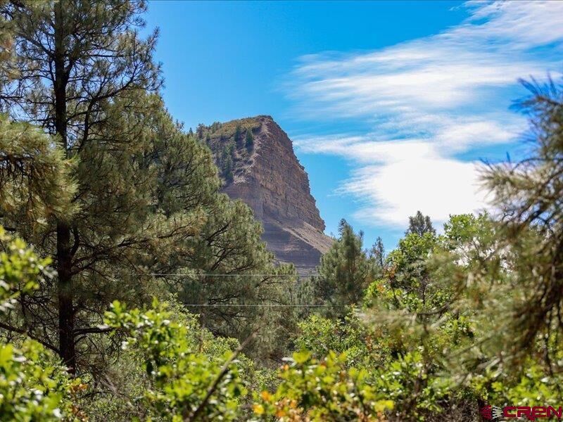 Property Photo:  876 Evergreen Drive  CO 81147 