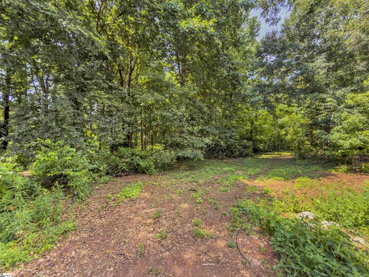 Property Photo:  6 Peters Creek Court  SC 29681 