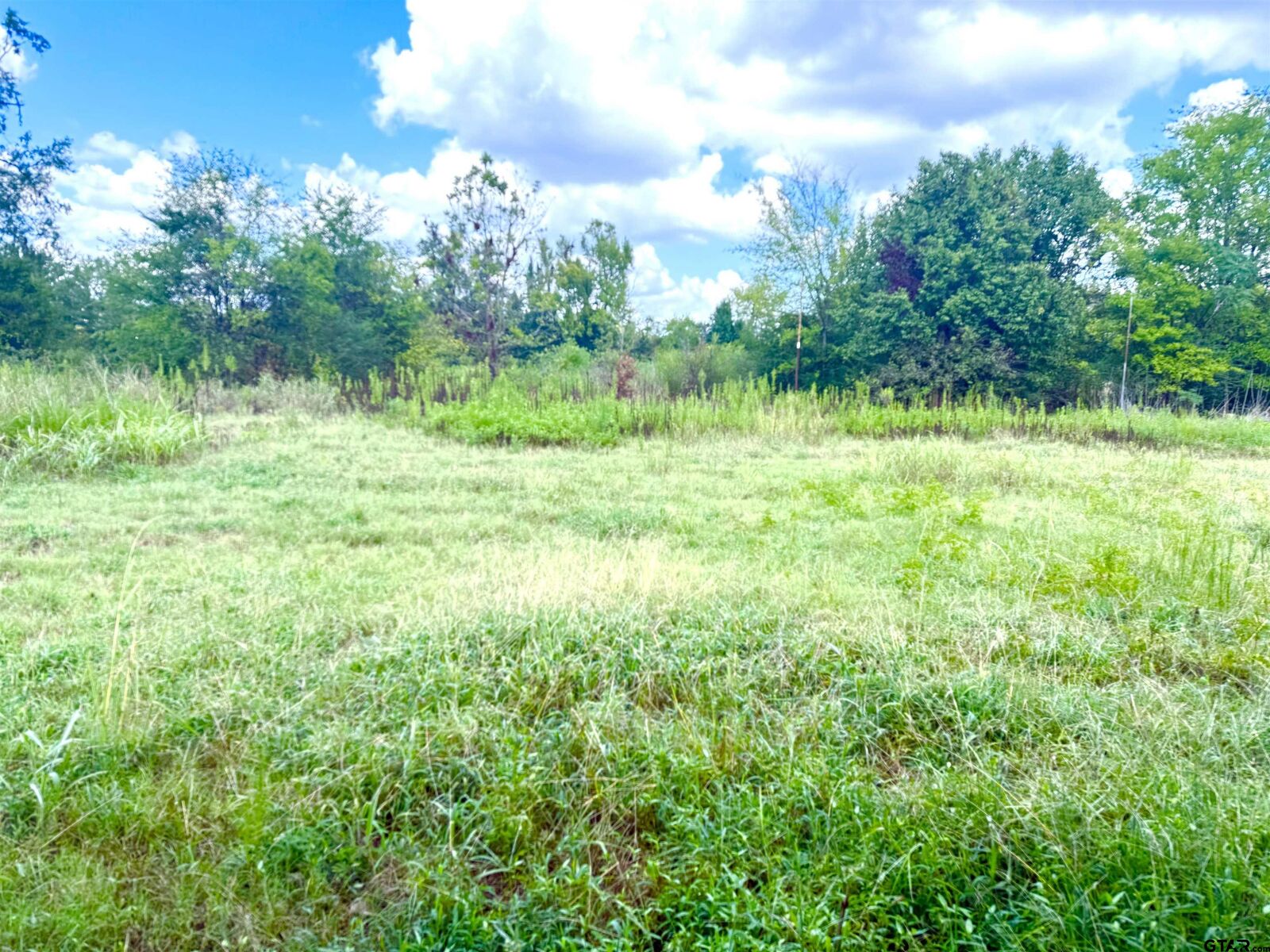 Property Photo:  215 E Henderson St  TX 75784 