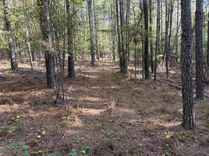Property Photo: 672 Twin Bridges Road GA 31024