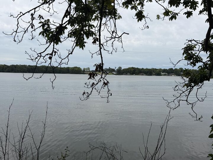 Property Photo:  246 Tuttle Park Drive  MI 49089 