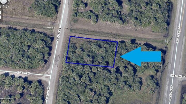 Property Photo:  2813 Basil Avenue SW  FL 32908 