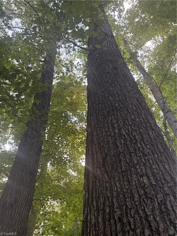 Property Photo:  Lot 5 Edgewood Road  NC 28697 