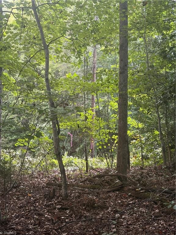 Property Photo: Lot 4 Edgewood Road NC 28697