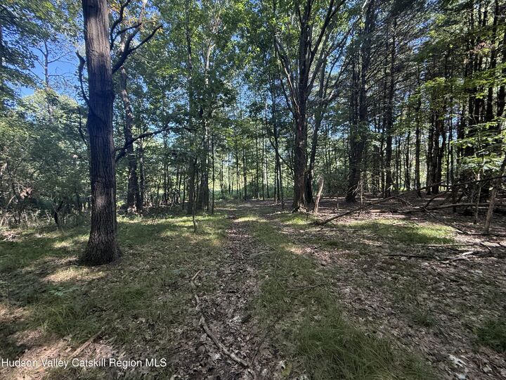 Property Photo: Tbd County Rte 51 NY 12124