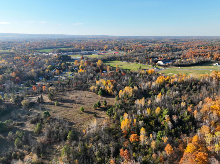 Property Photo:  00 Haynes Road  NY 12901 