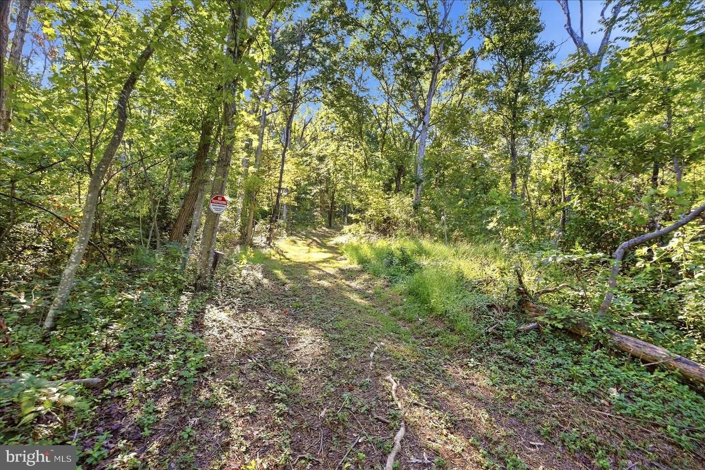 Property Photo: Valley Park Court VA 22657