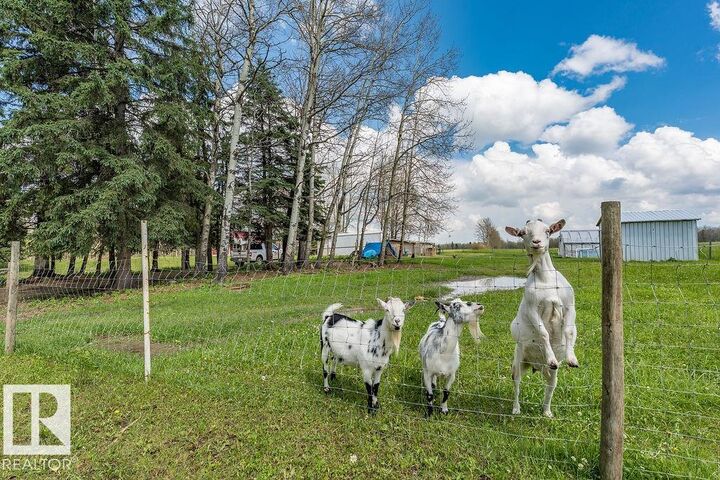 Property Photo:  470047 Rge Road 35  AB T0C 2X0 