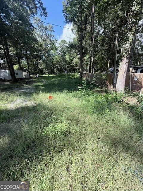 Property Photo:  541 Dogwood Lane  GA 31320 