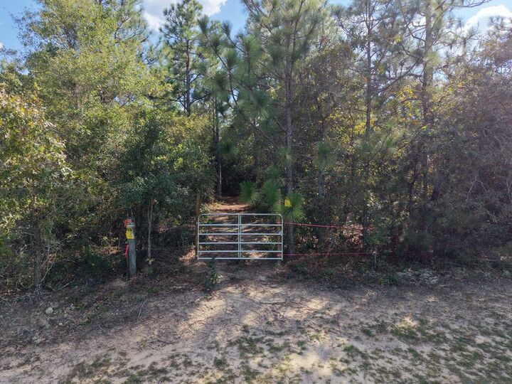 Property Photo:  0 (6.17 Acres) Pineknot Road  GA 31801 