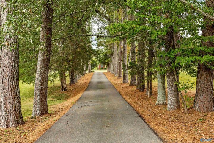 Property Photo:  23173 Nick Davis Road  AL 35613 