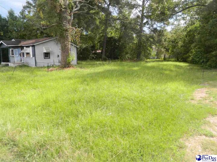 Property Photo:  416 N Warren Street  SC 29161 