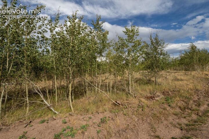 Property Photo:  Lot 1316 Biaggini Lane  CO 81133 