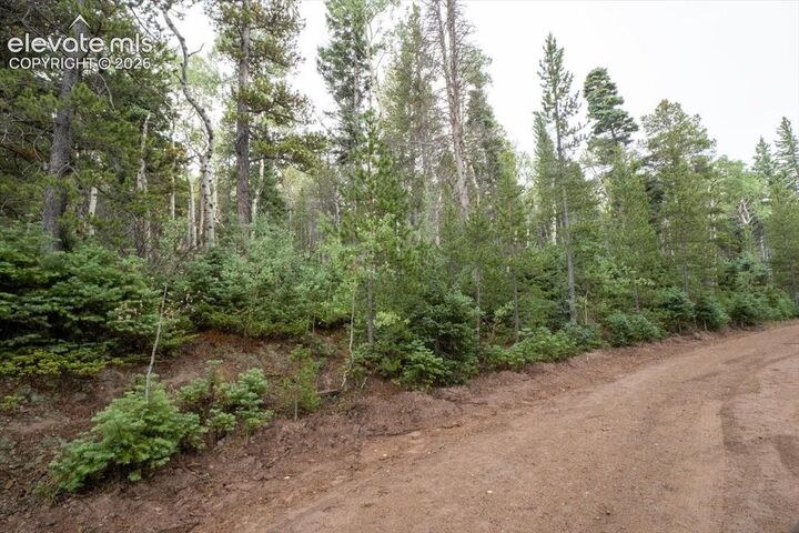 Property Photo:  Lot 2614 Petito Drive  CO 81133 