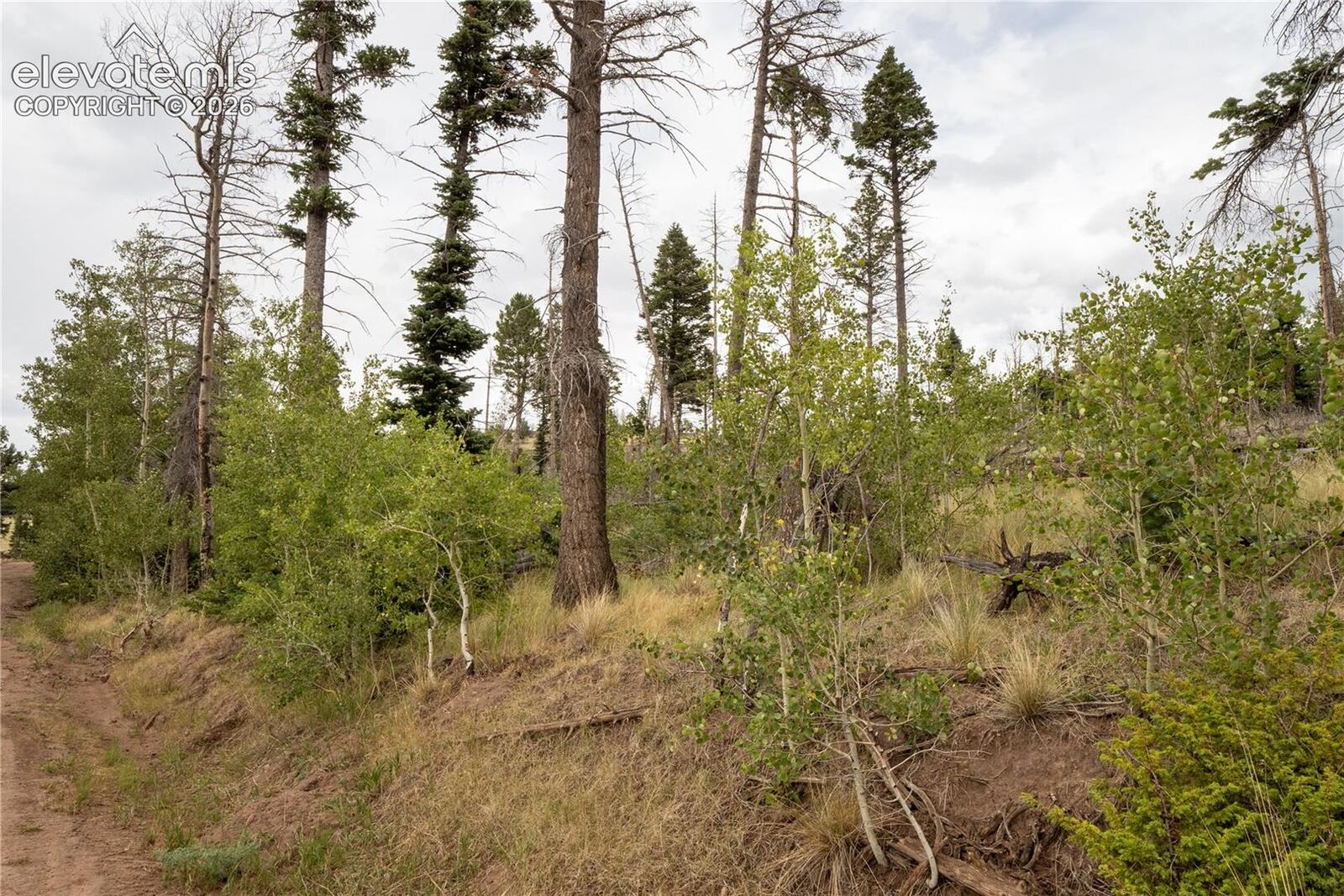 Property Photo:  Lot 2571 Andes Loop  CO 81133 